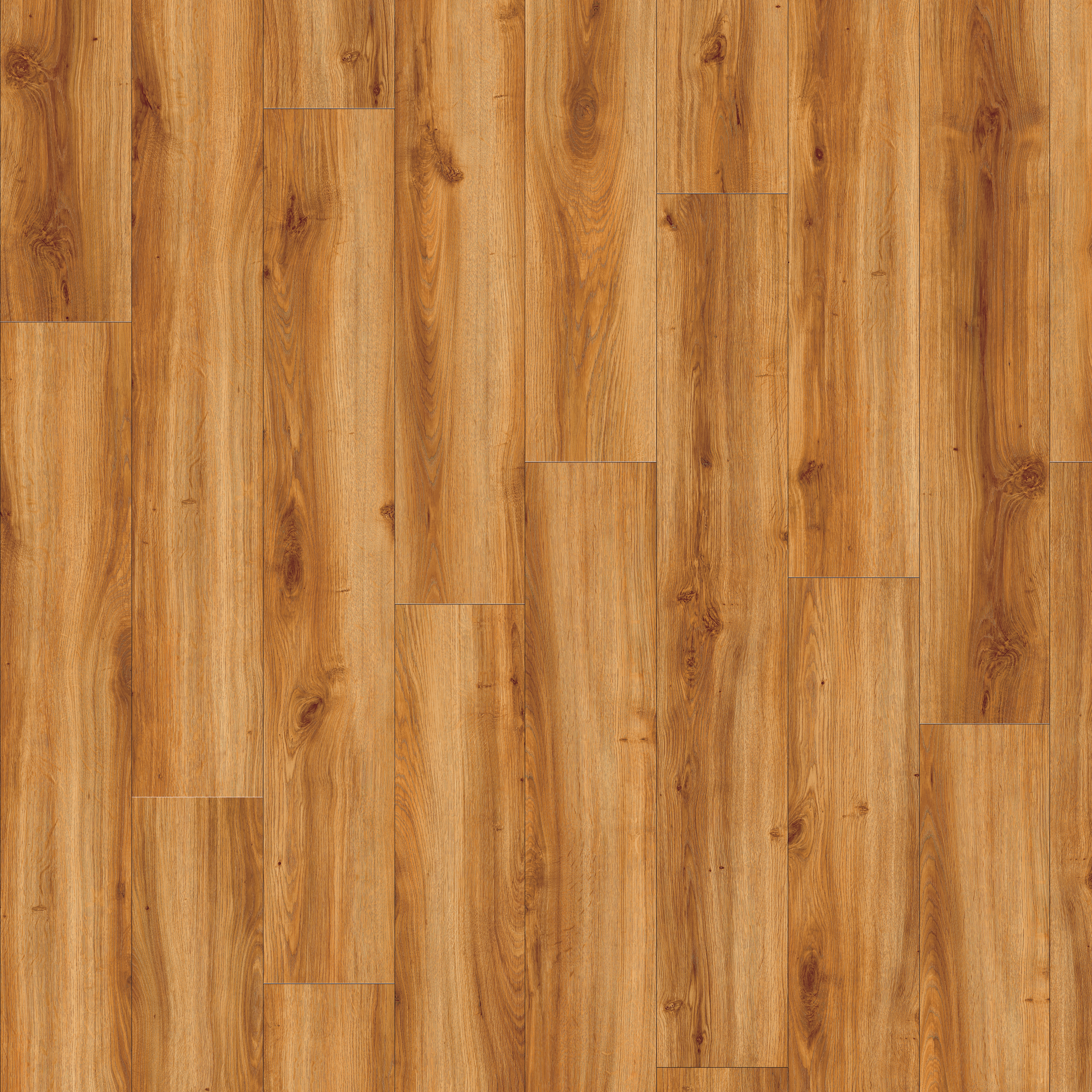 Moduleo Roots Classic Oak 24438