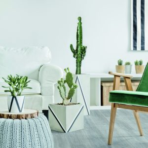 Līmējamā vinila grīda Moduleo Transform Verdon Oak 24936