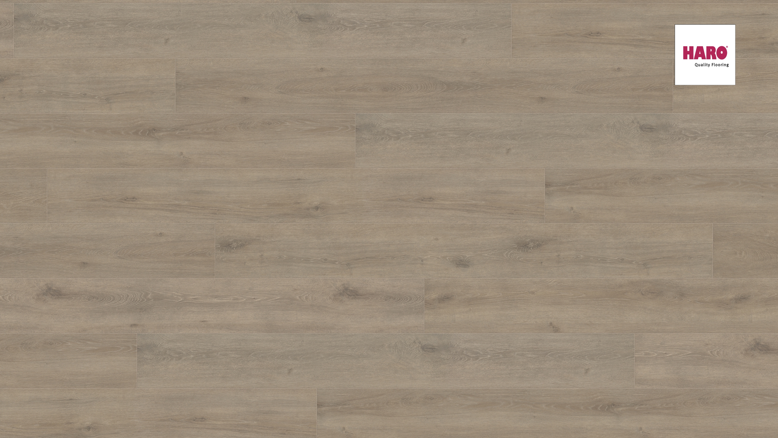 Lamināts HARO Oak Veneto Mocca GranVia Aqua 537379