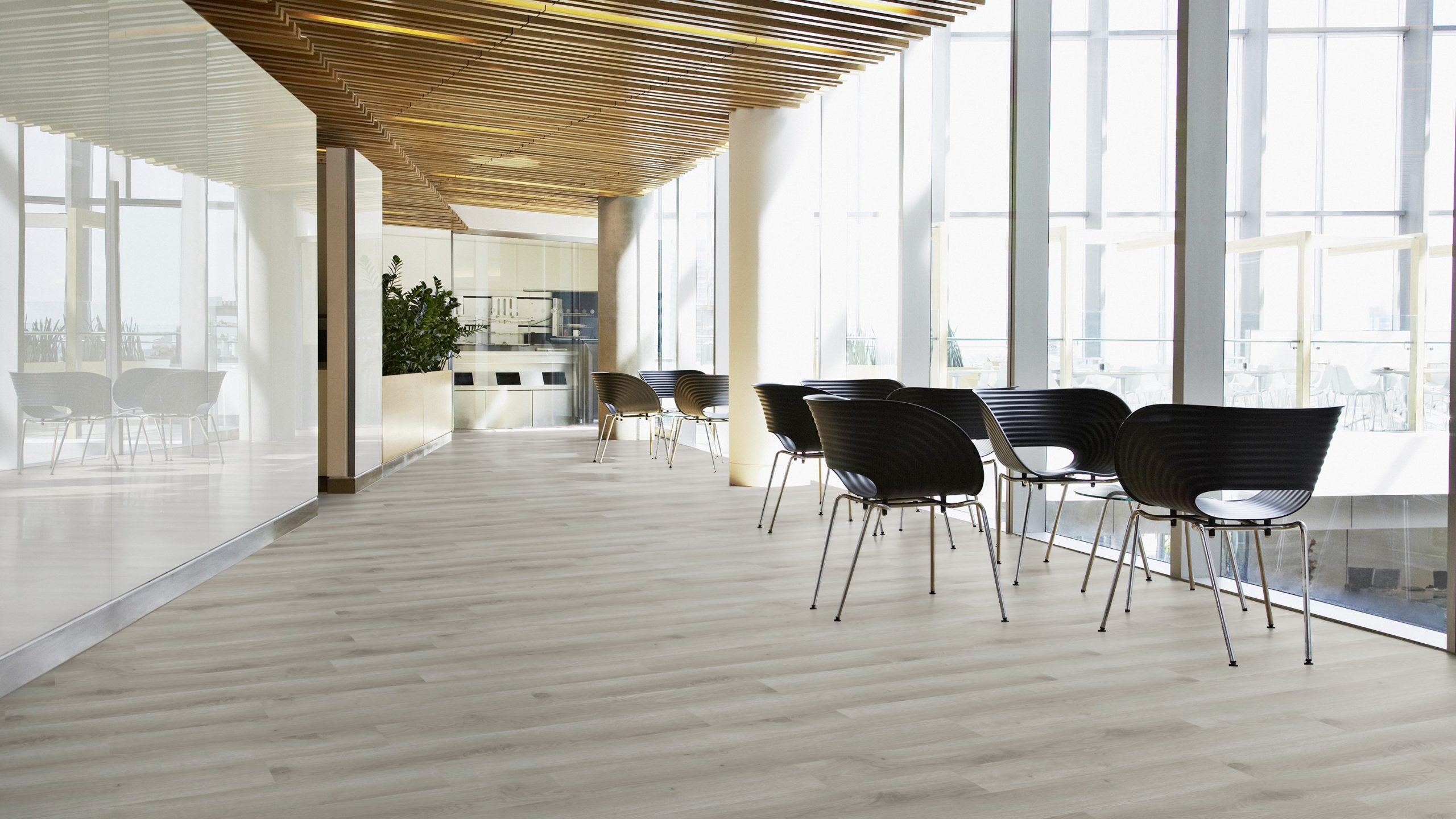 vinila-grida-tarkett-conemporary-oak-grey-24513021