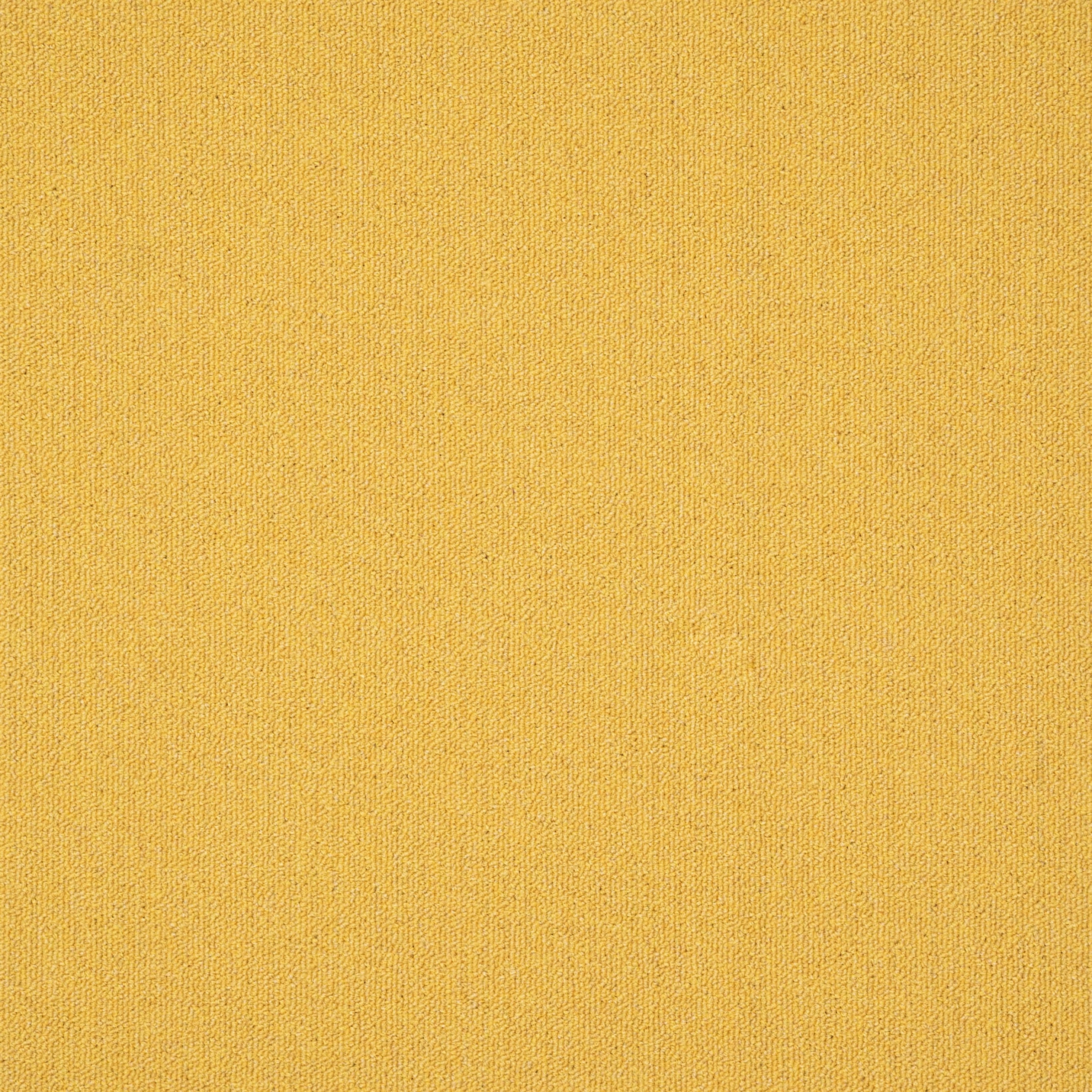 paklajflizes-ivc-creative-spark-140