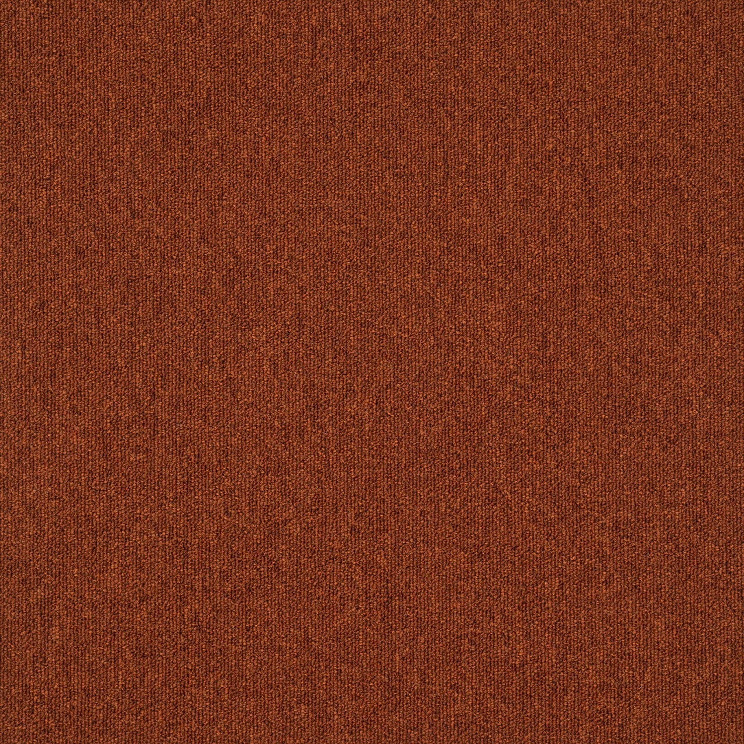 paklajflizes-ivc-creative-spark-362