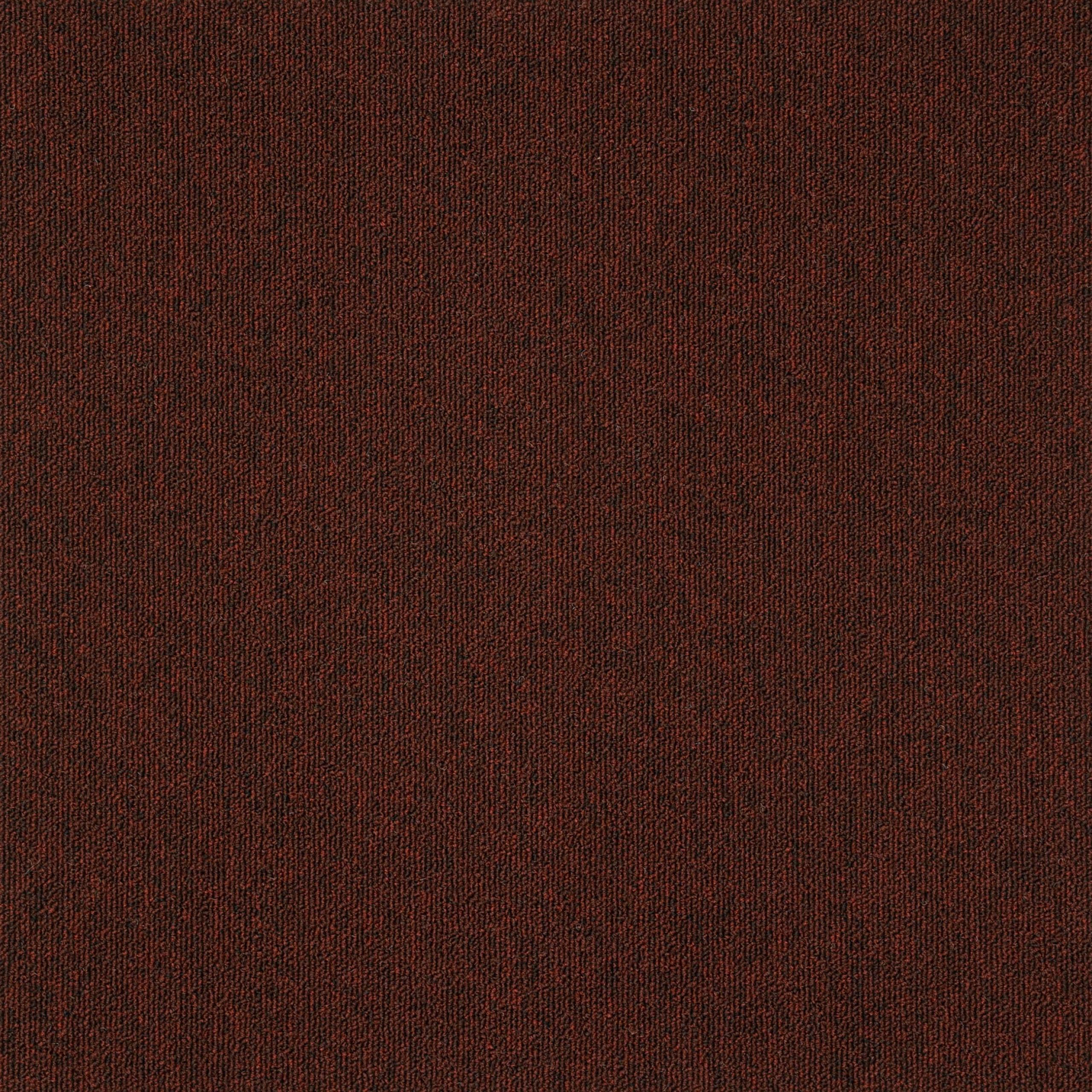 paklajflizes-ivc-creative-spark-363