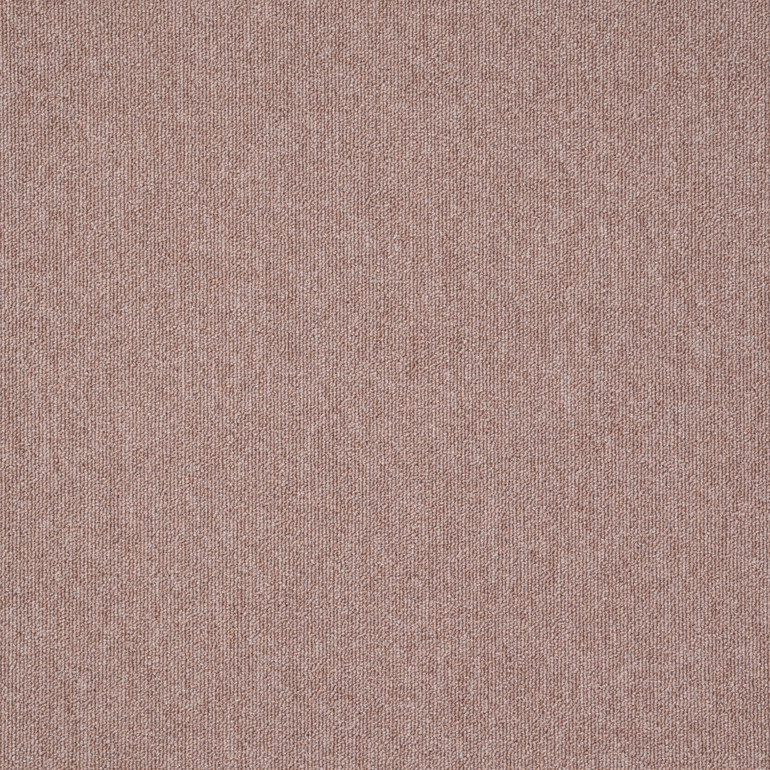 paklajflizes-ivc-creative-spark-419