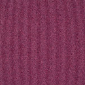 paklajflizes-ivc-creative-spark-467