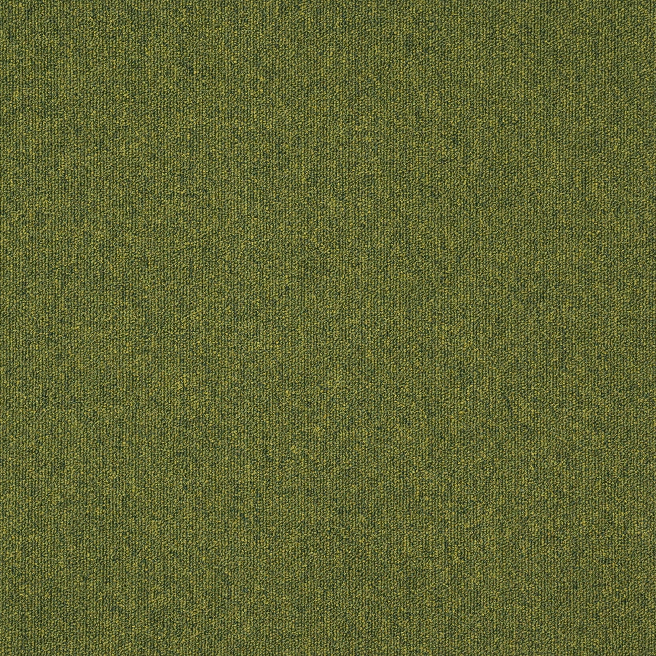 paklajflizes-ivc-creative-spark-621