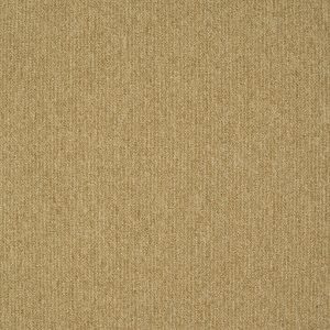 paklajflizes-ivc-creative-spark-627