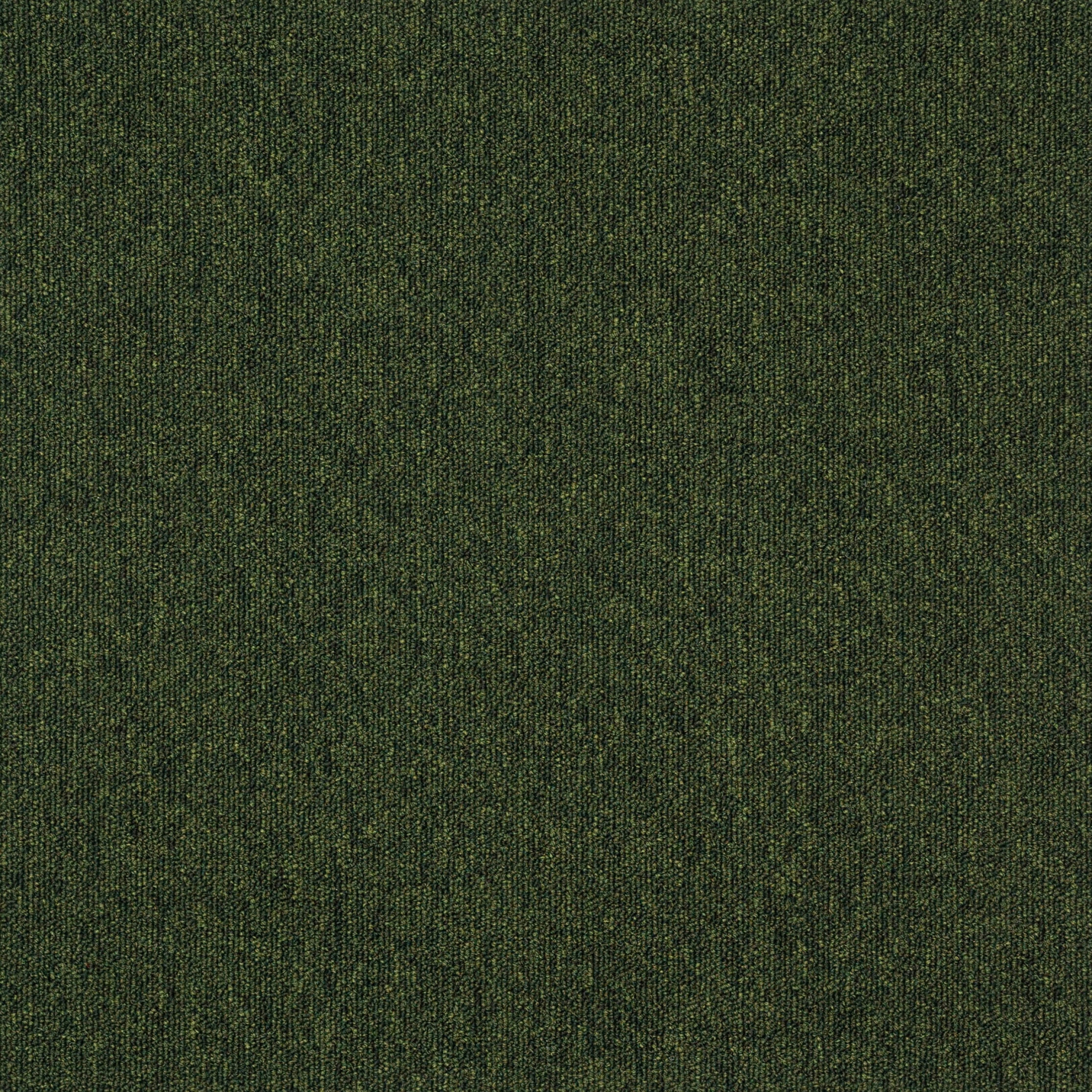 paklajflizes-ivc-creative-spark-646