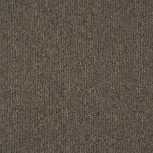 paklajflizes-ivc-creative-spark-854