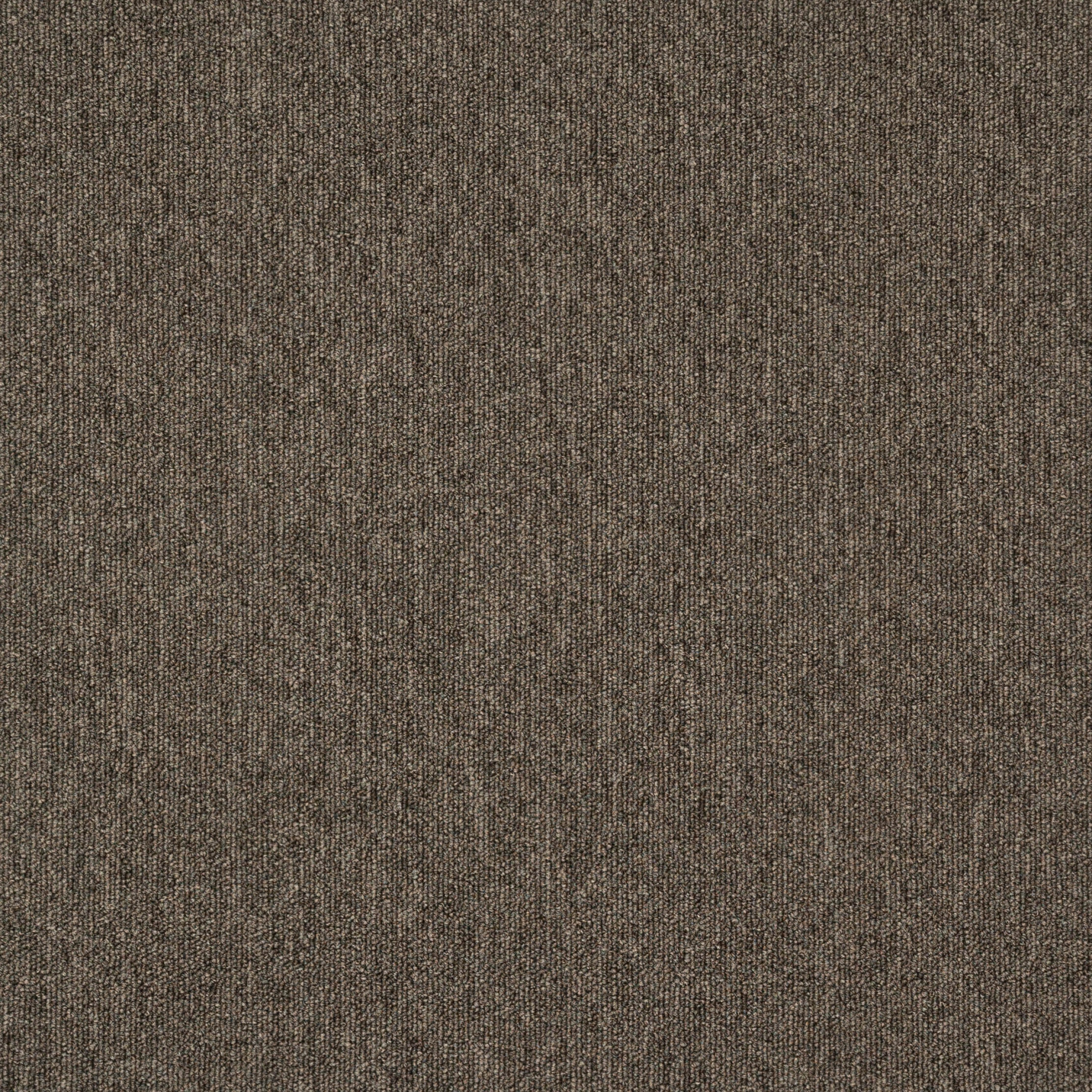 paklajflizes-ivc-creative-spark-854