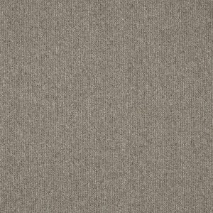 paklajflizes-ivc-creative-spark-904