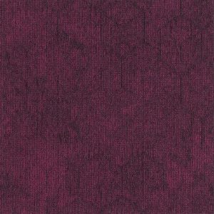 paklajflizes-ivc-contour-perspective-478