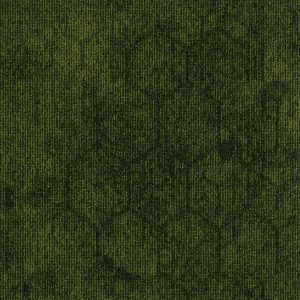 paklajflizes-ivc-contour-perspective-621