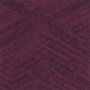 paklajflizes-ivc-contour-view-478