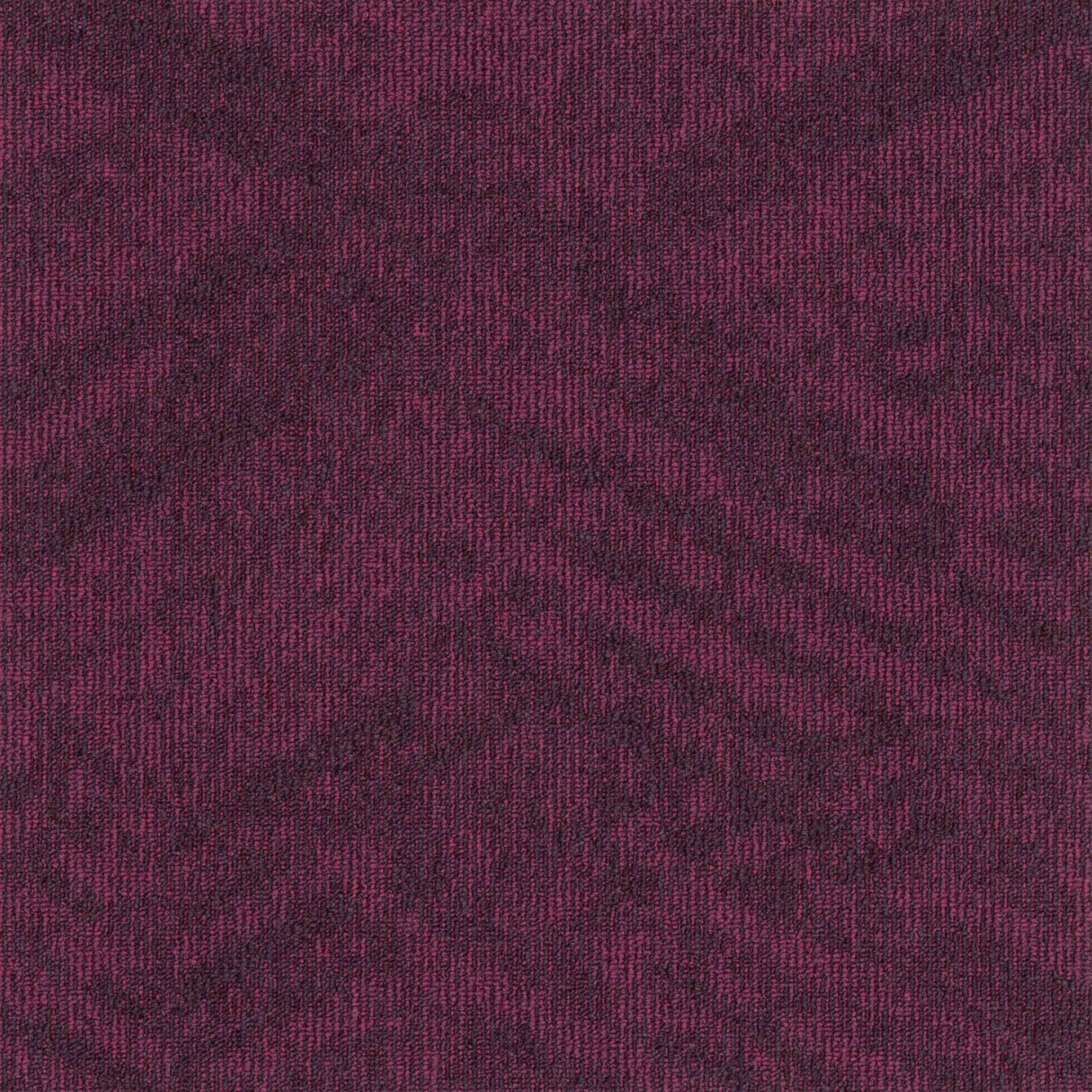 paklajflizes-ivc-contour-view-478