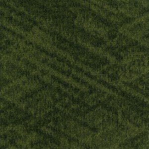 paklajflizes-ivc-contour-view-621