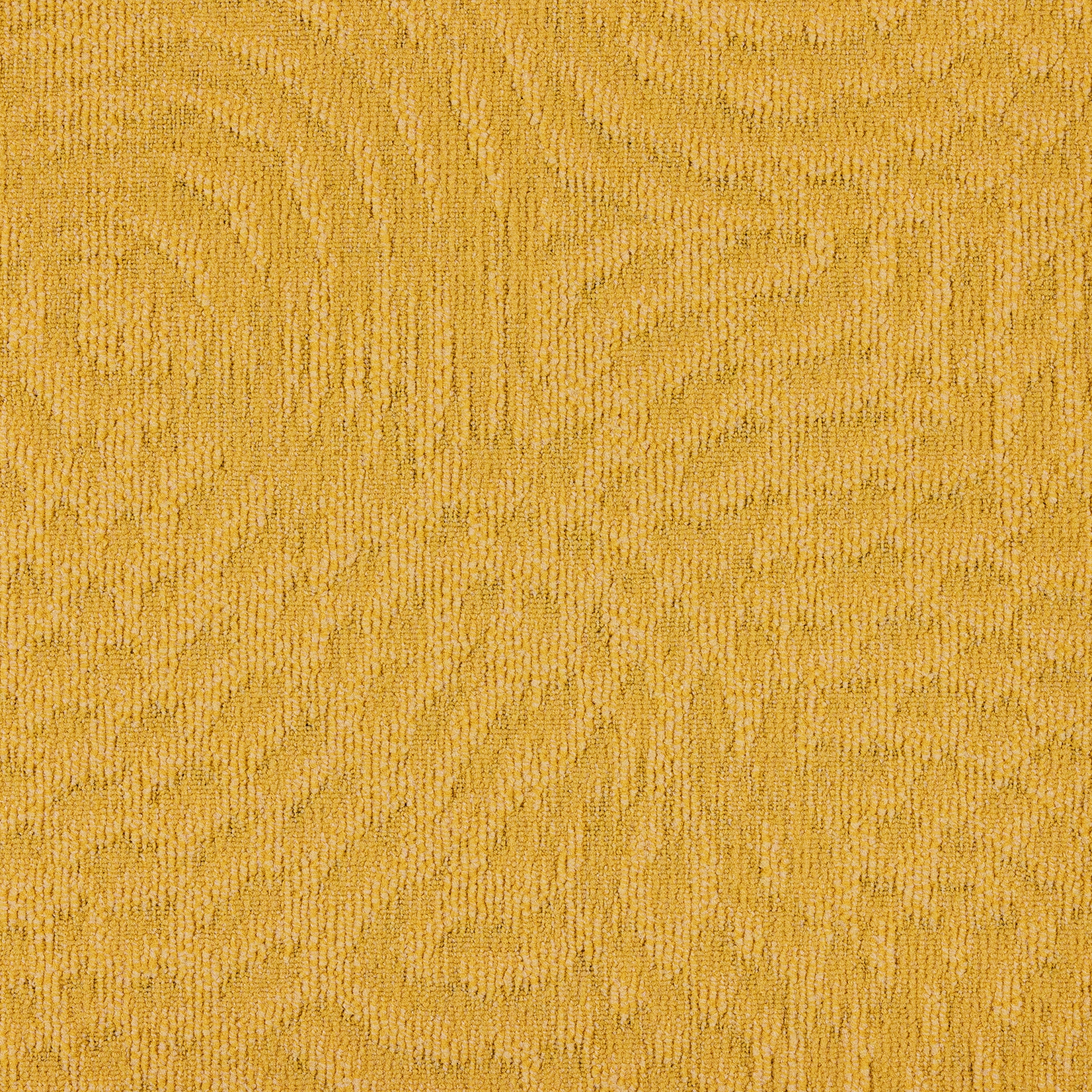 paklajflizes-ivc-immersion-animate-140