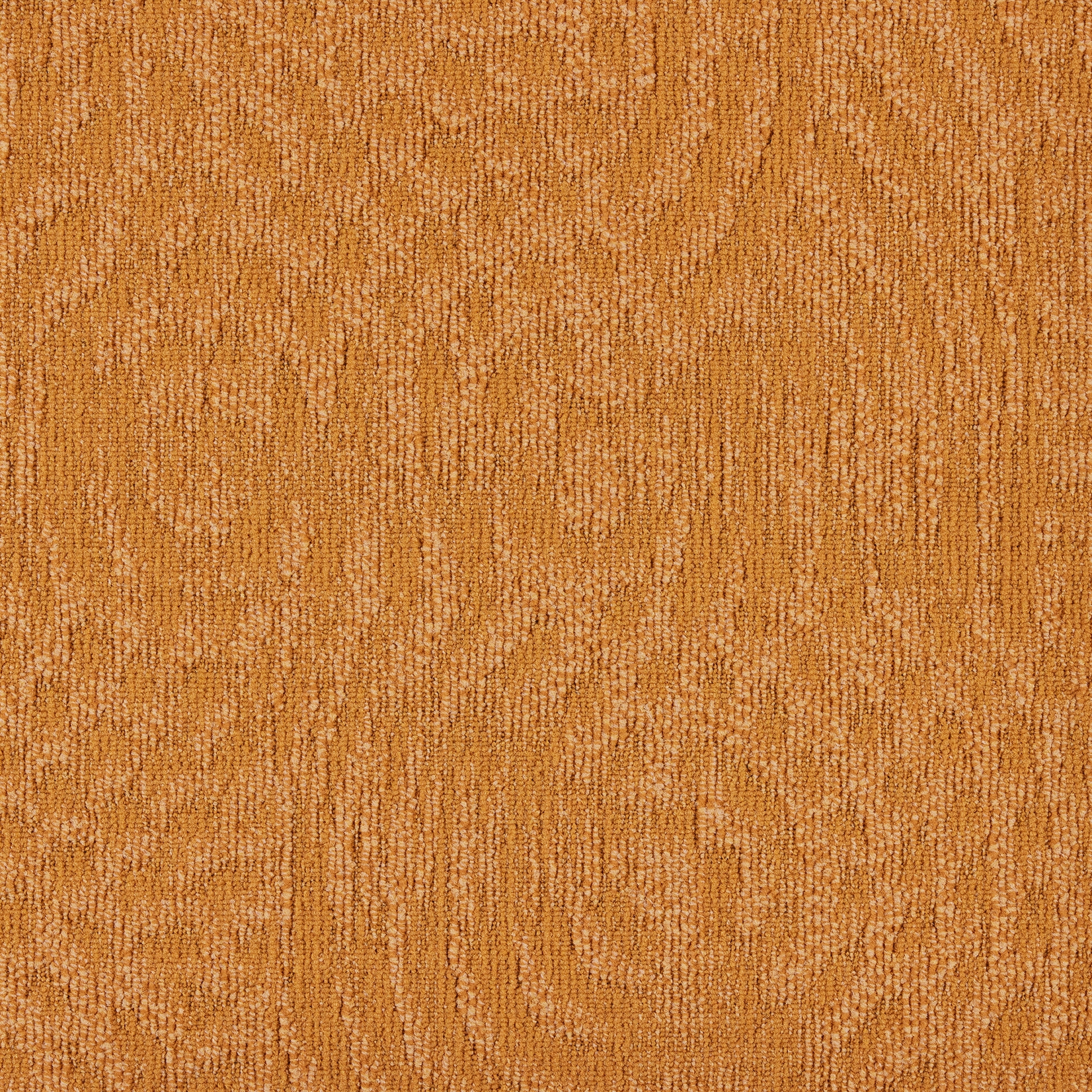 paklajflizes-ivc-immersion-animate-232