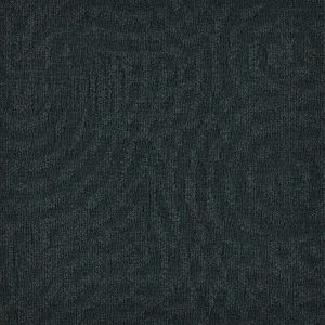 paklajflizes-ivc-immersion-animate-699