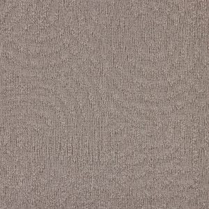 paklajflizes-ivc-immersion-animate-731