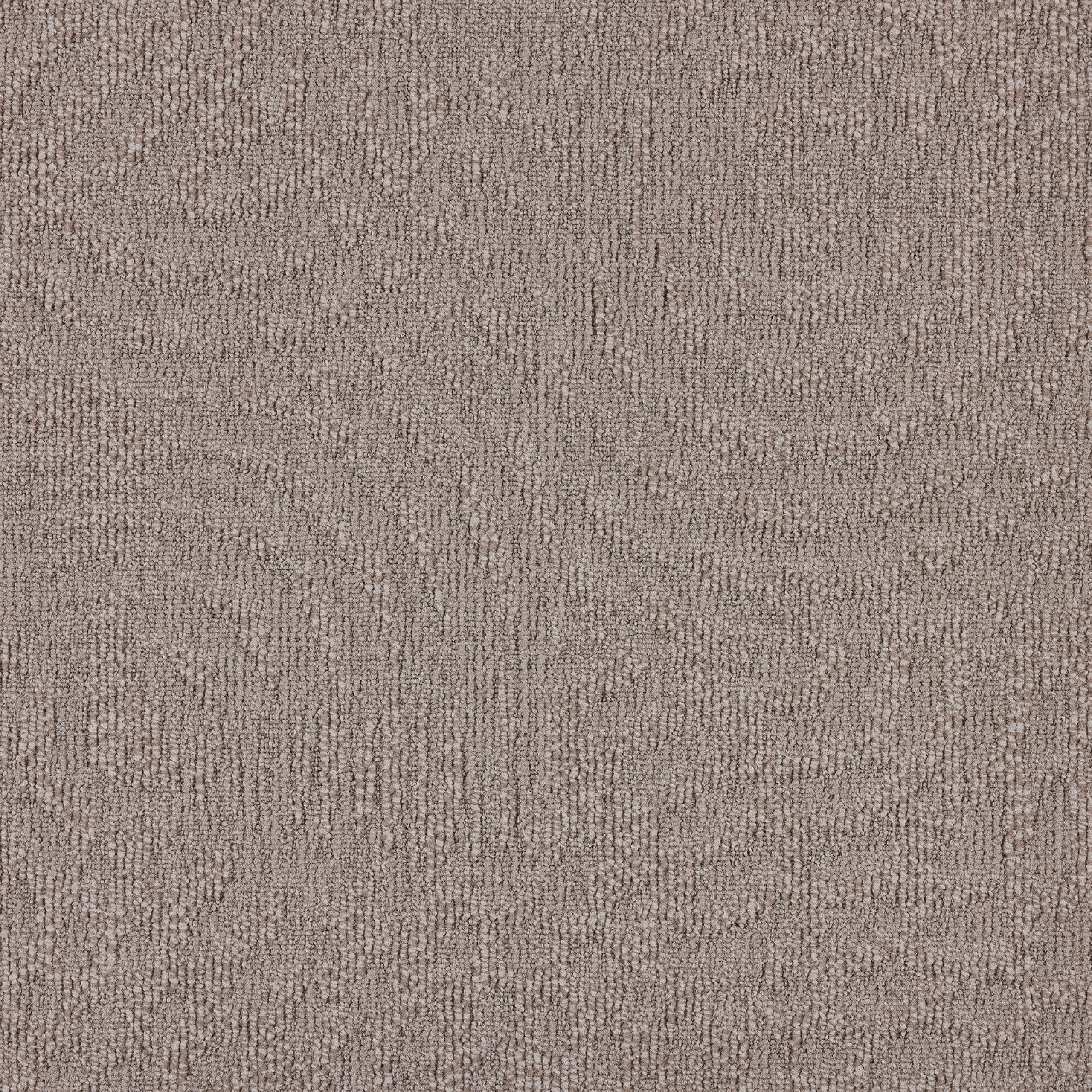 paklajflizes-ivc-immersion-animate-731