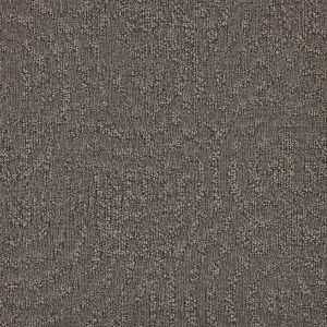 paklajflizes-ivc-immersion-animate-904