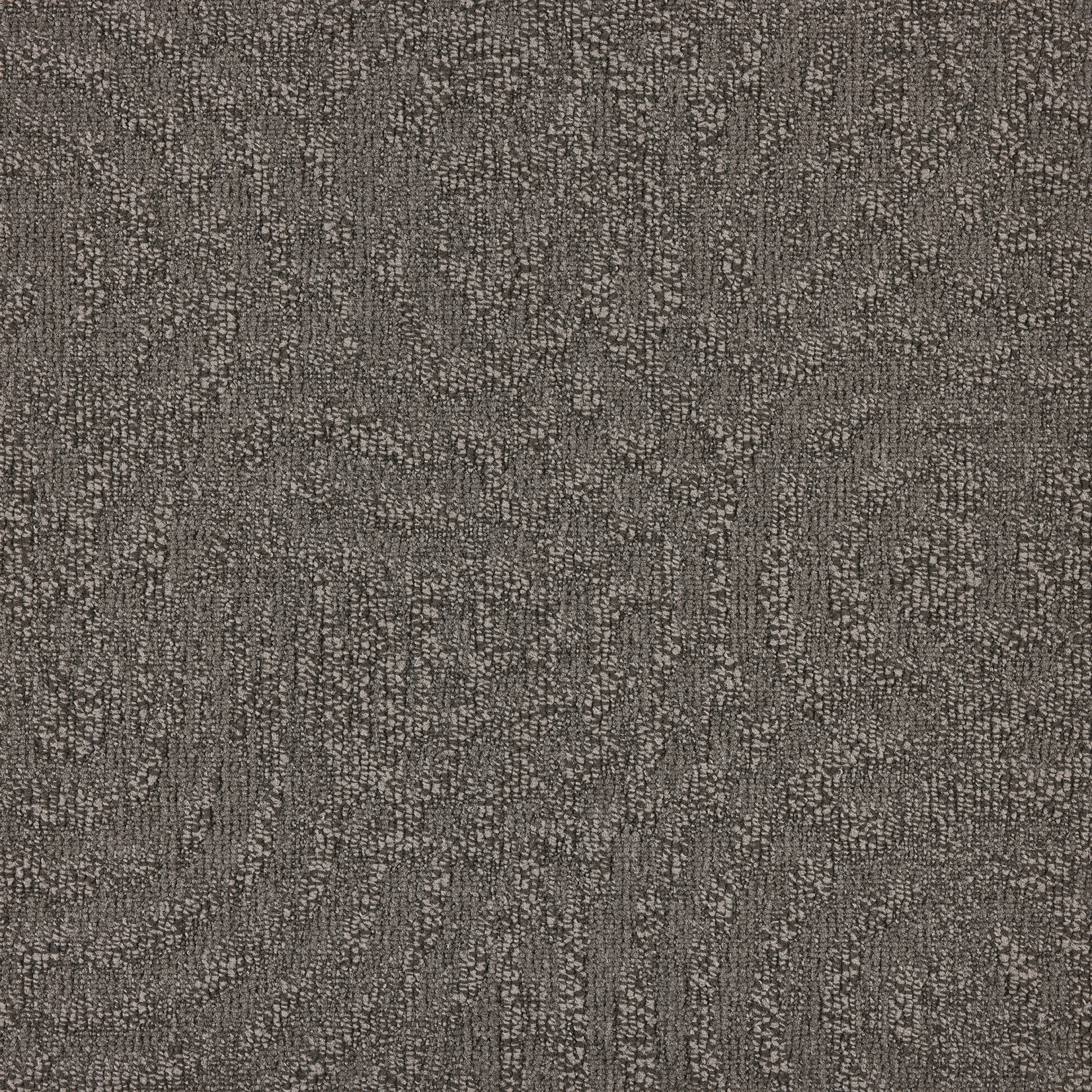 paklajflizes-ivc-immersion-animate-904