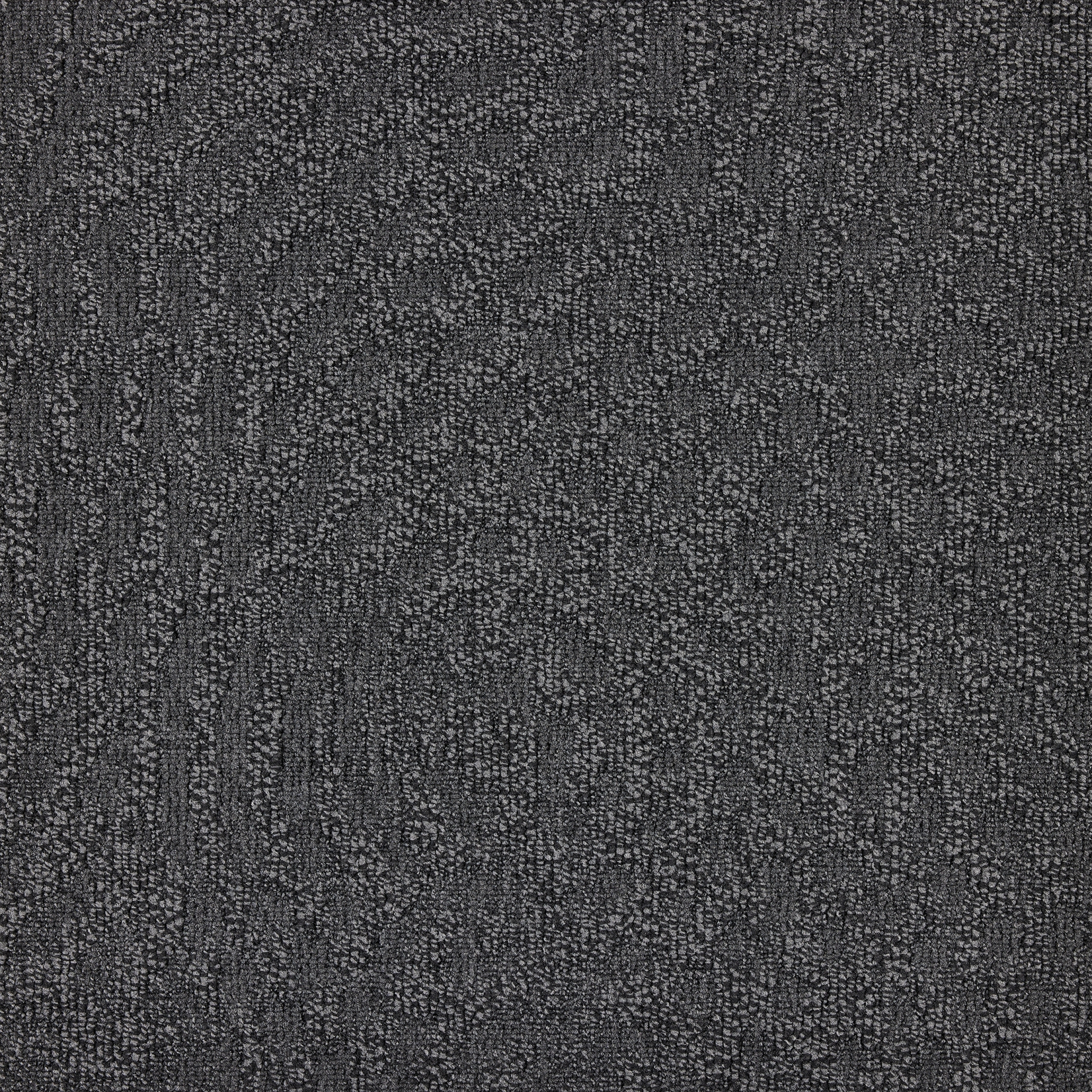 paklajflizes-ivc-immersion-animate-979