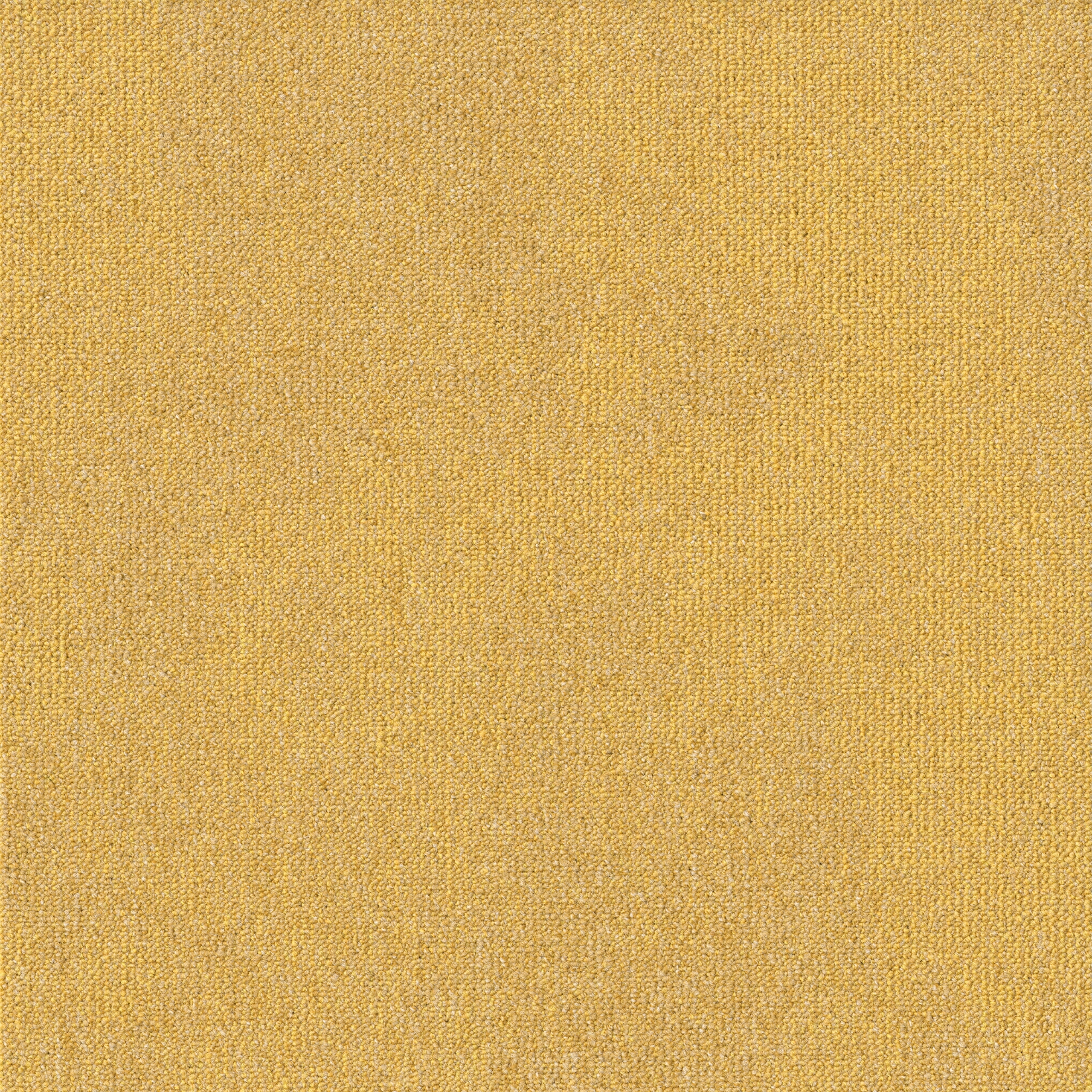 paklajflizes-ivc-rudiments-basalt-159