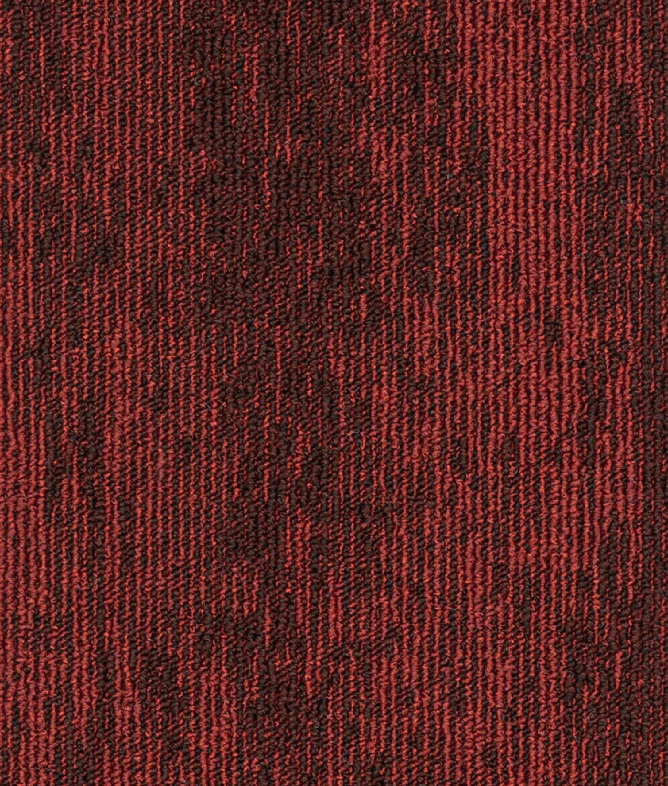 paklajflizes-ivc-rudiments-clay-363