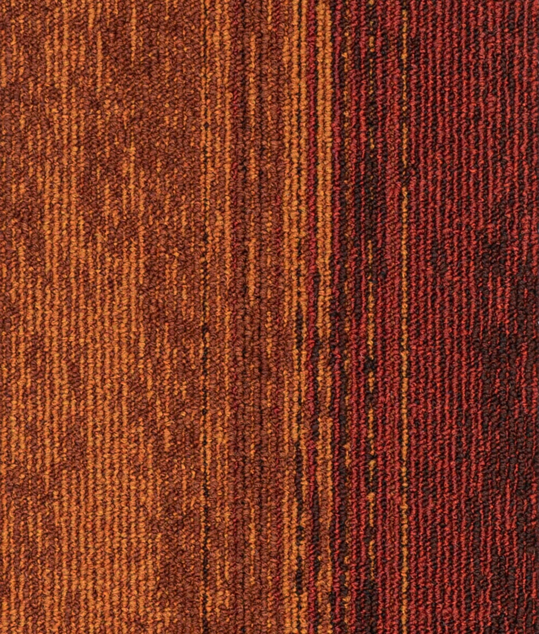 paklajflizes-ivc-rudiments-clay-create-325