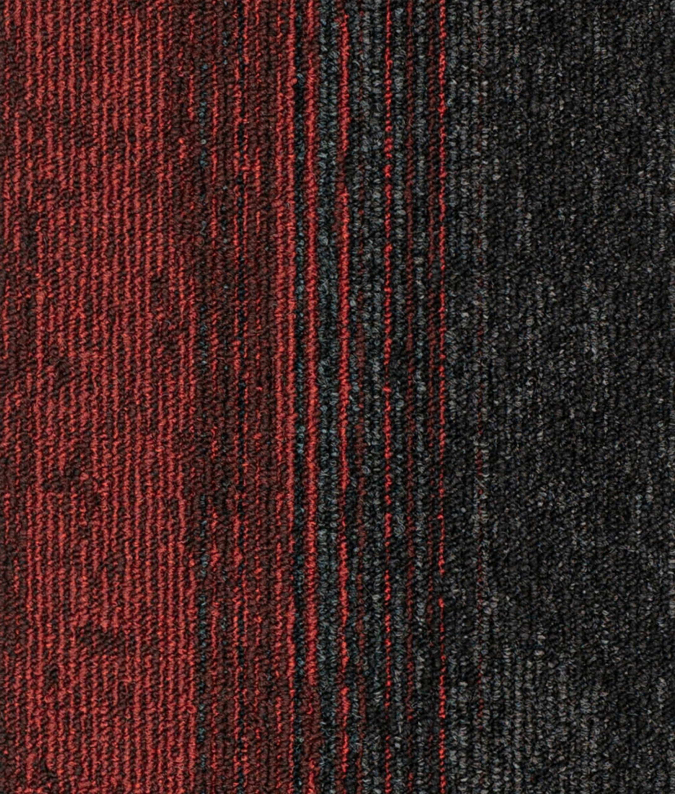 paklajflizes-ivc-rudiments-clay-create-339