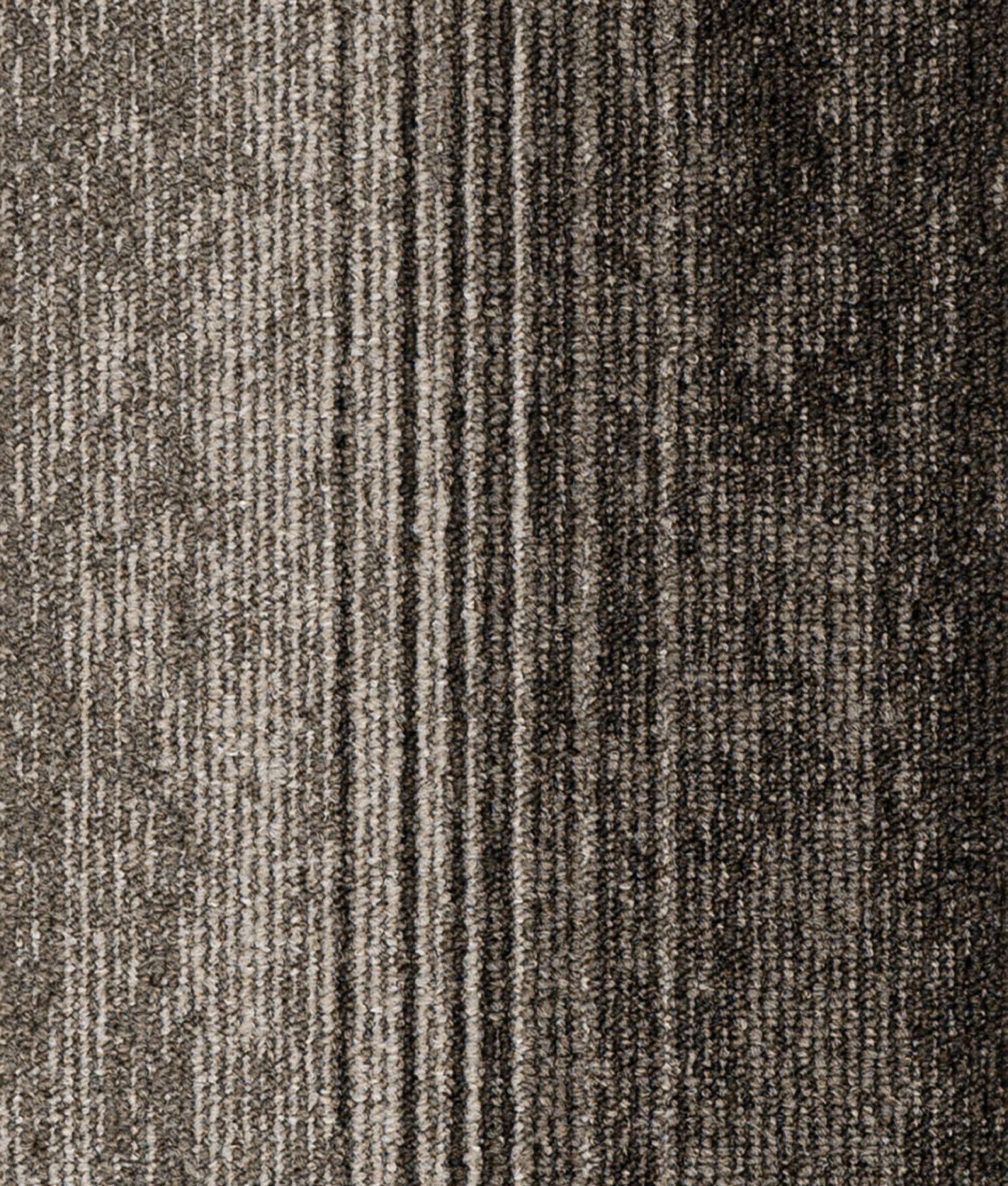 paklajflizes-ivc-rudiments-clay-create-872