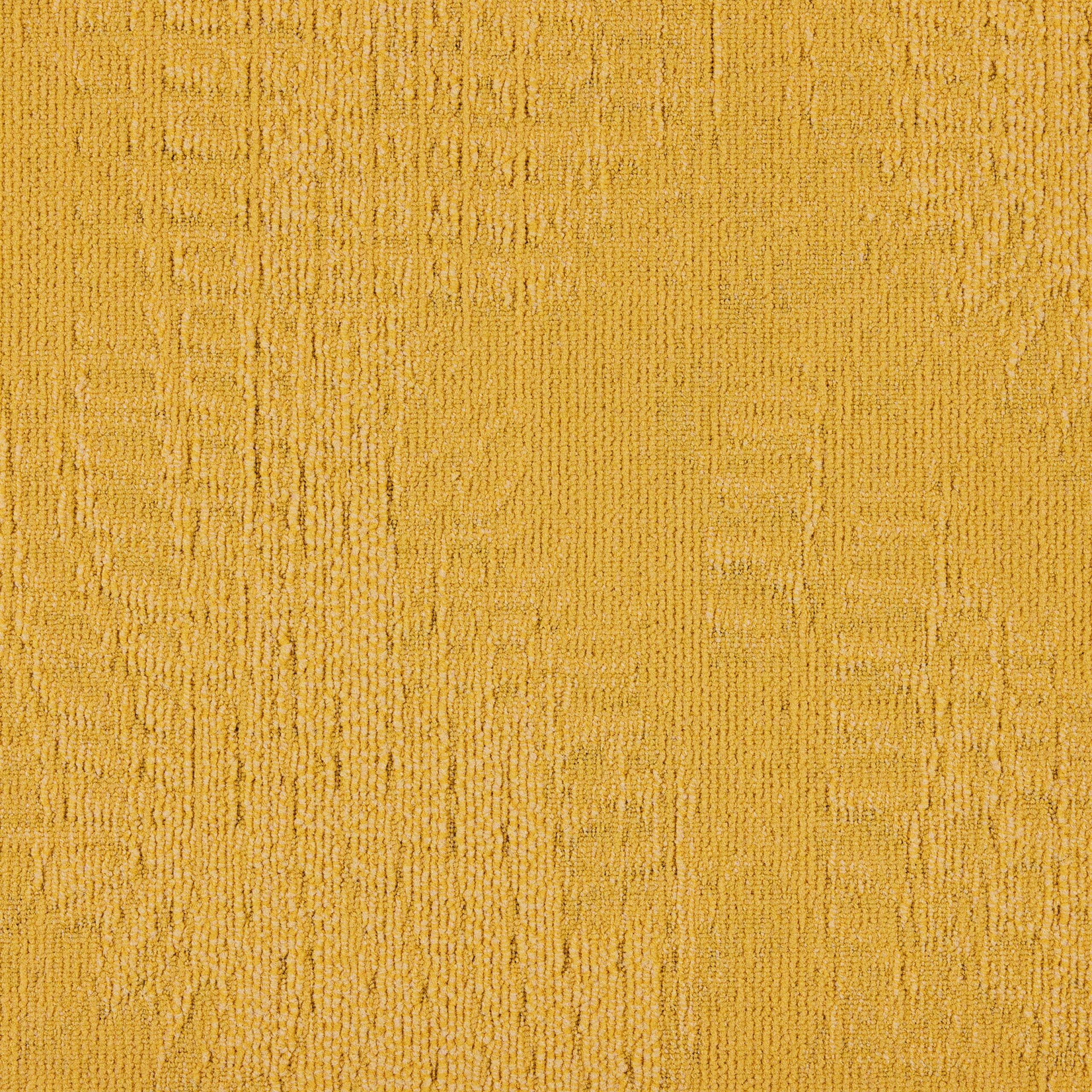 paklajflizes-ivc-immersion-alternate-140