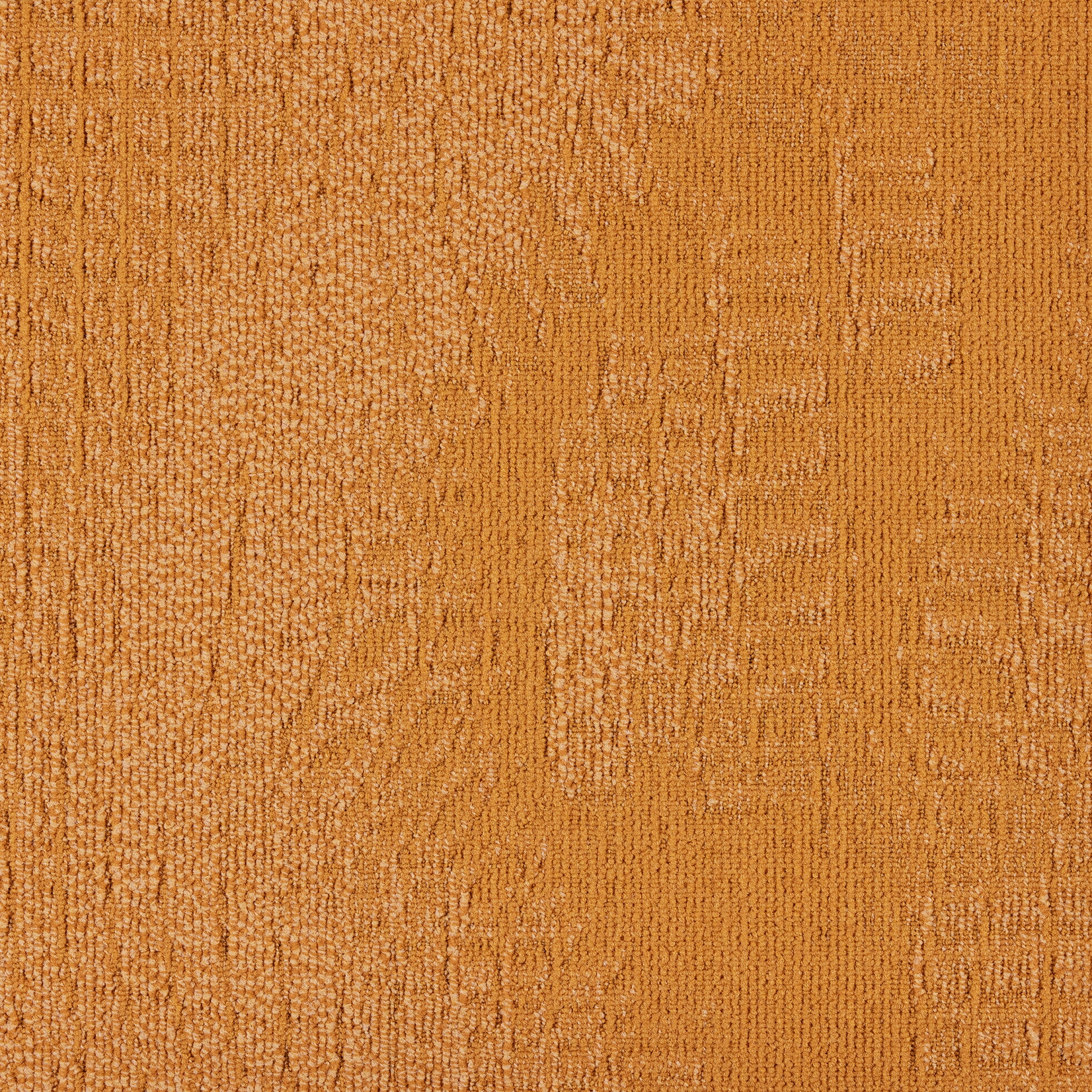 paklajflizes-ivc-immersion-alternate-232