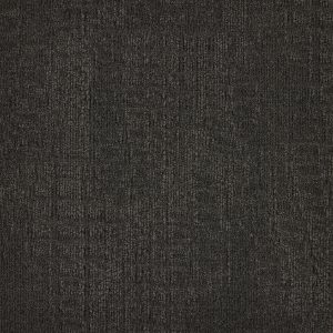 paklajflizes-ivc-immersion-alternate-848