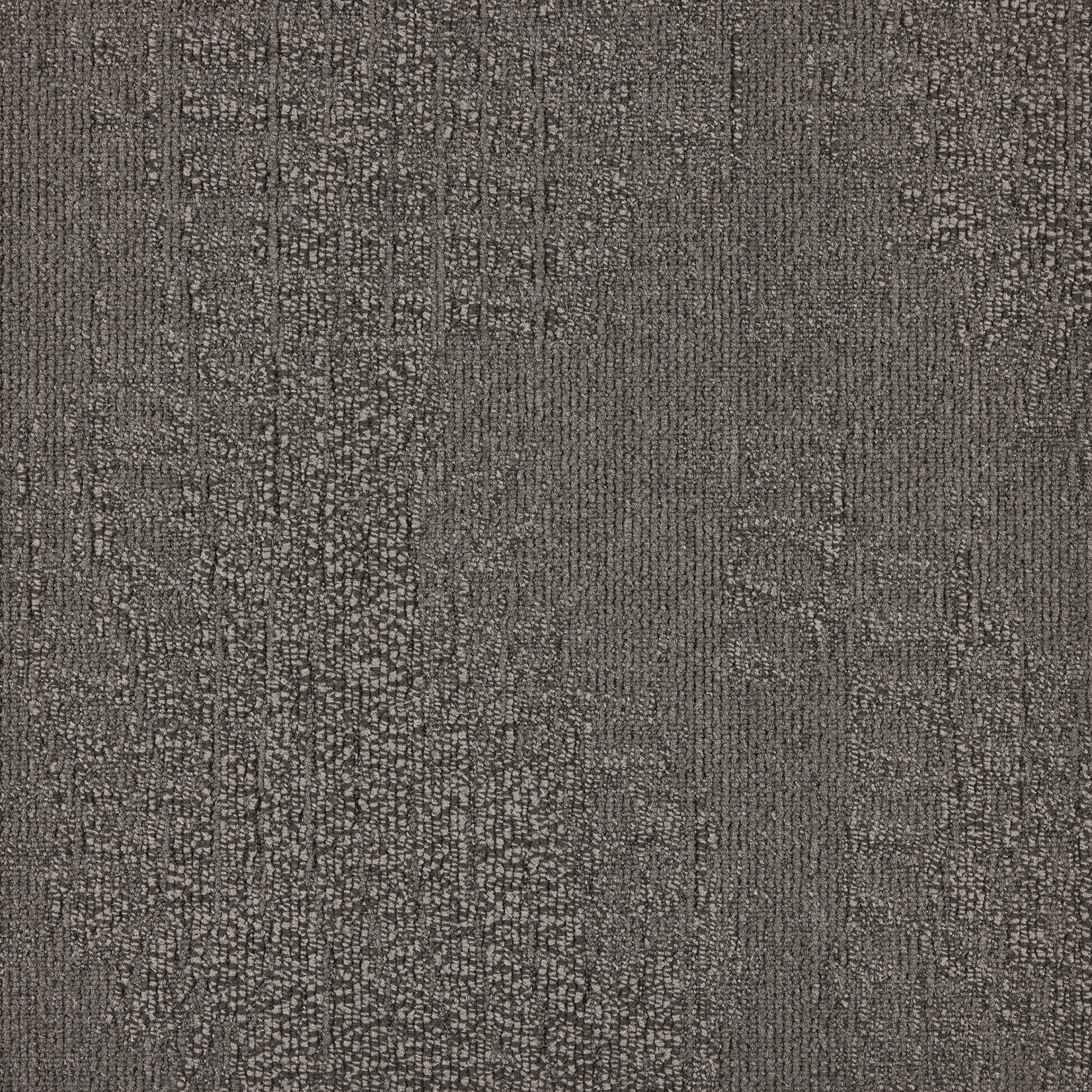 paklajflizes-ivc-immersion-alternate-904