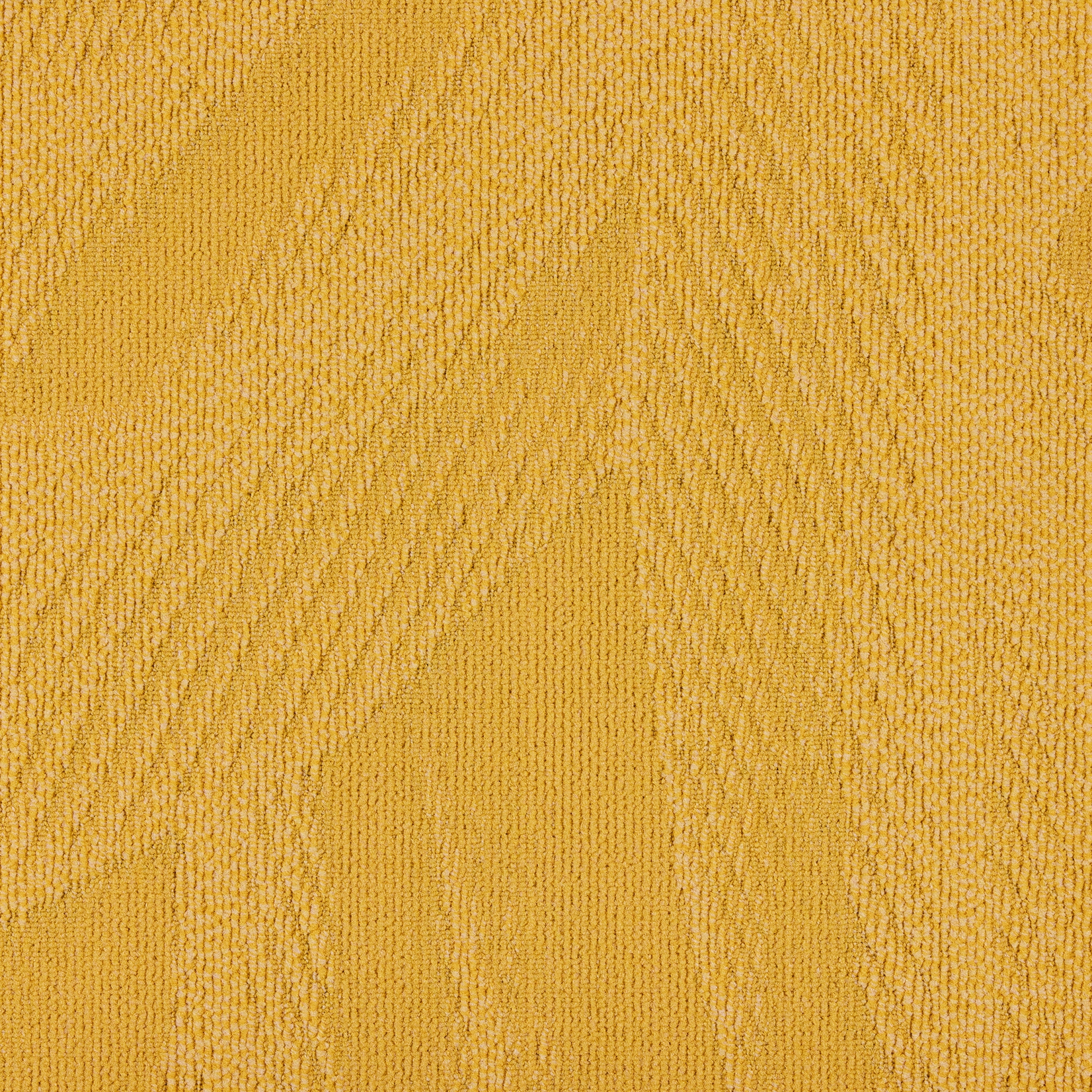 paklajflizes-ivc-immersion-liberate-140