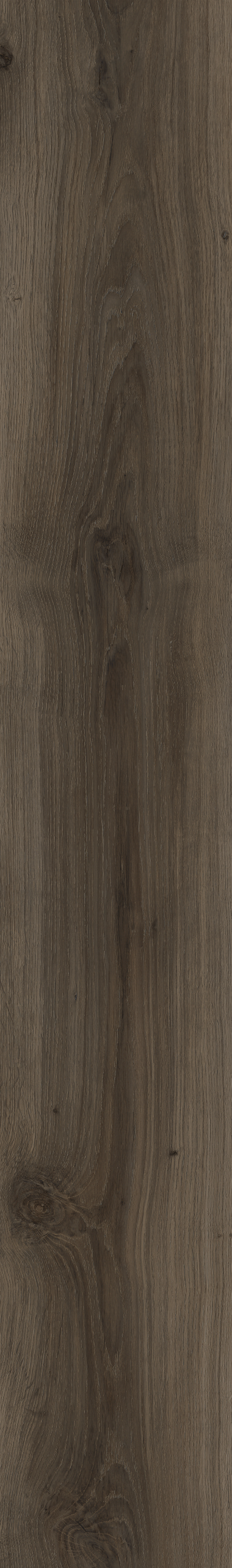 Moduleo Roots Classic Oak 24864