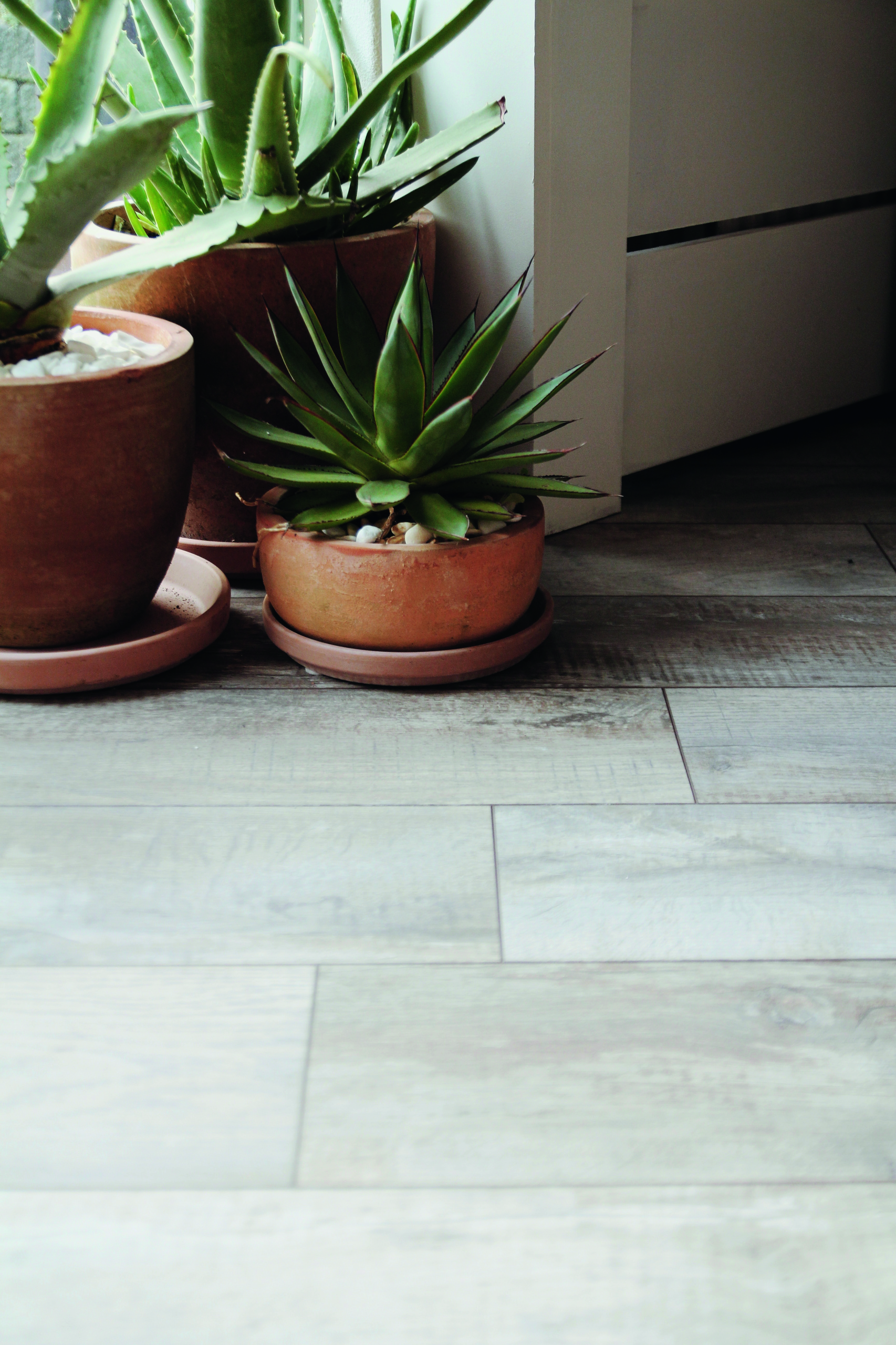 Moduleo Roots Country Oak 24918