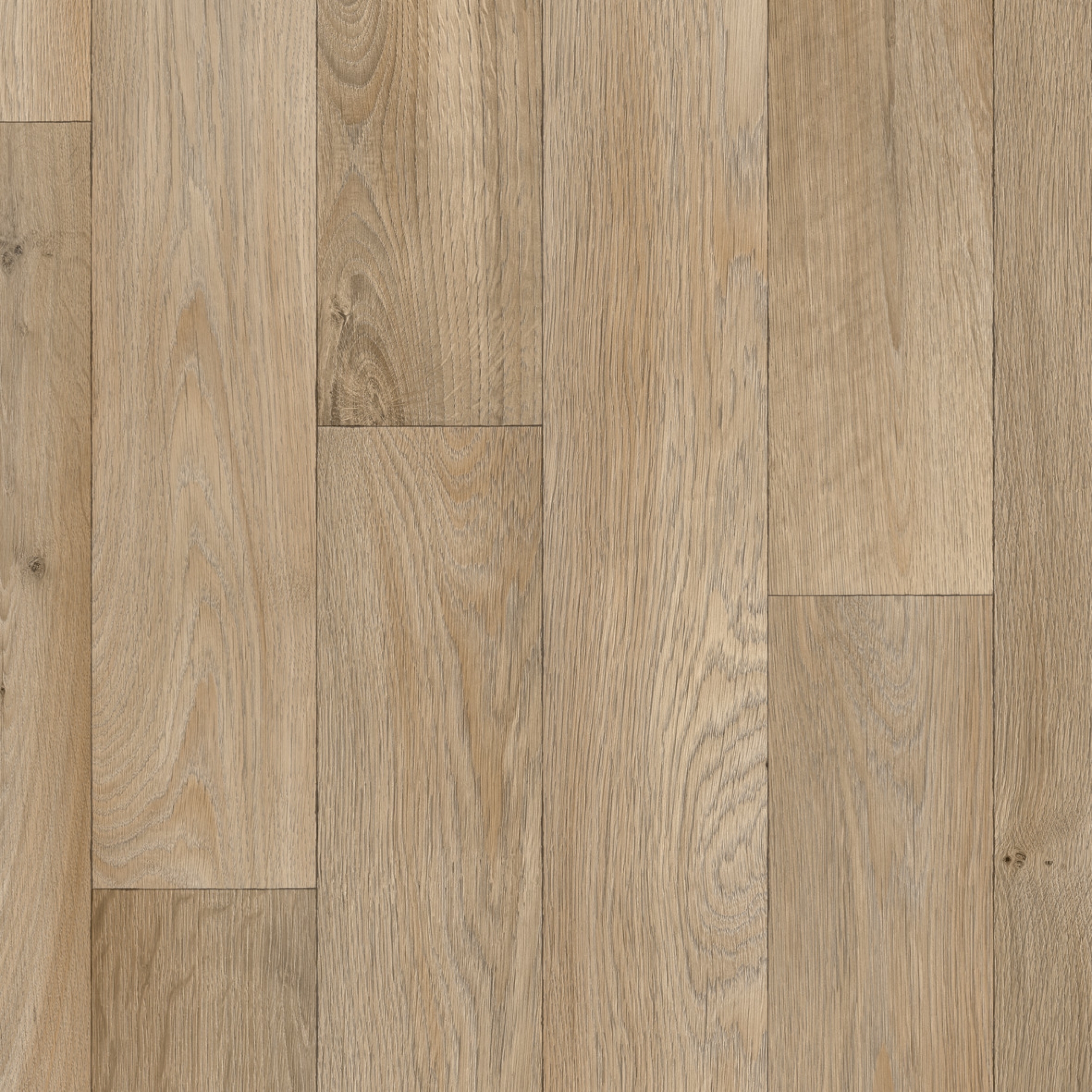 heterogenais-linolejs-ivc-optimise-70-camargue-t-62