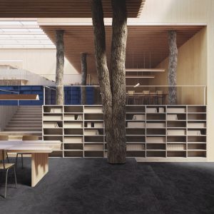 paklajflizes-tarkett-desso-desert-712086021